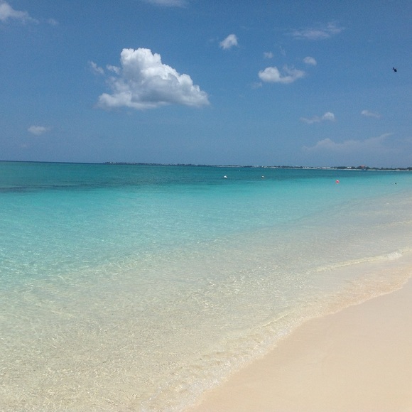 Meet your Posher, Nadine S - Picture 7 of 7